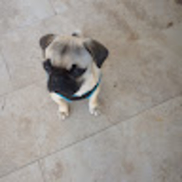 Meet your Posher, 엔지 - Picture 1 of 1